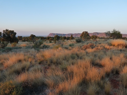 Sunset vor Kings Canyon